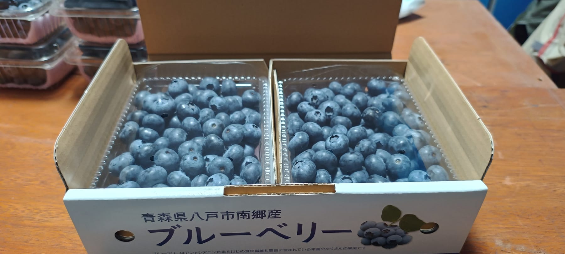 収穫のブルーベリー