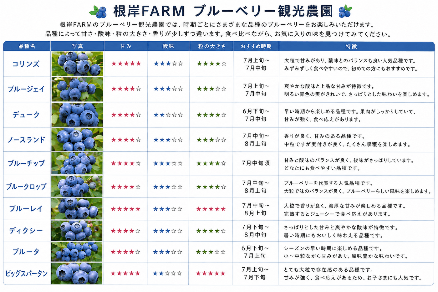 根岸FARM ブルーベリー品種紹介